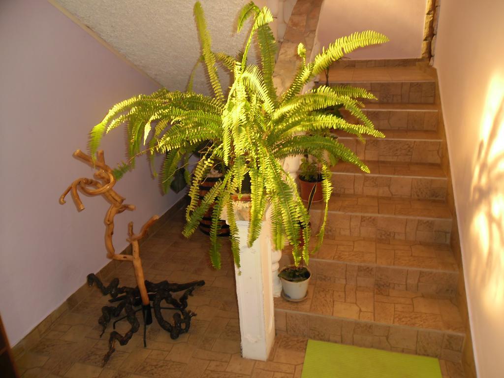 Apartmens Zara Apartment Sibenik Room photo