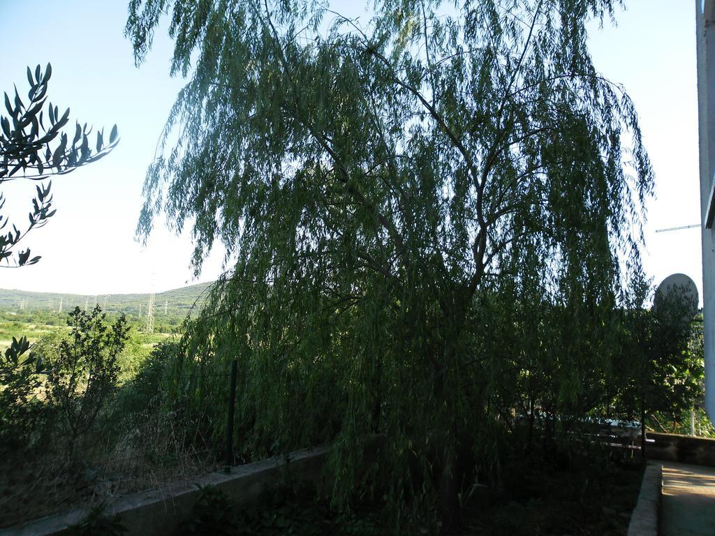 Apartmens Zara Apartment Sibenik Room photo